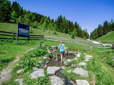 Apartment WippHome Ferienwohnung - Outdoor photo 14