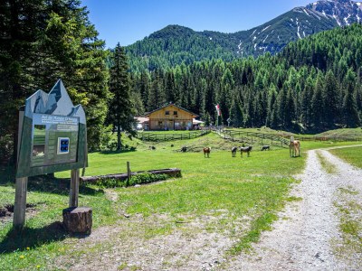 Apartment WippHome Ferienwohnung - Outdoor photo 18