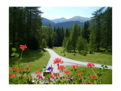 Apartment Appartement Hinterenns - Outdoor photo 6