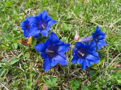 Apartment Appartement Hinterenns - Outdoor photo 12