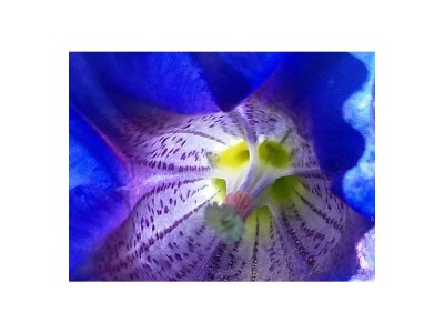 Apartment Appartement Hinterenns - Outdoor photo 34