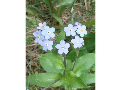 Apartment Appartement Hinterenns - Outdoor photo 38