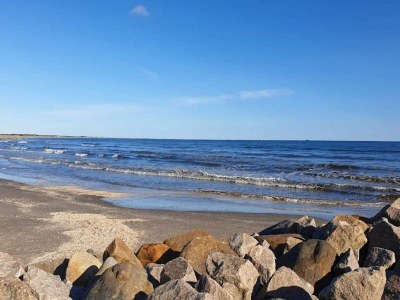 Holiday house Luxury Retreat in albaek - By Traum Ferienwohnungen - Outdoor photo 36