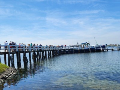 Holiday house Stilvolles Ferienhaus in Meeresnähe - Environment photo 26