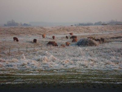 Holiday house Stilvolles Ferienhaus in Meeresnähe - Environment photo 29