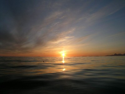 Holiday house 6 Personen Ferienhaus in BORKENES-By Traum - Outdoor photo 24