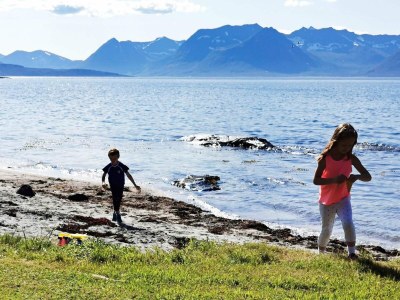 Holiday house 6 Personen Ferienhaus in BORKENES-By Traum - Outdoor photo 25