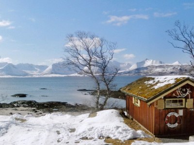 Holiday house 6 Personen Ferienhaus in BORKENES-By Traum - Outdoor photo 27