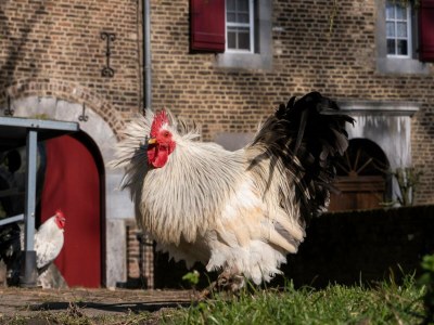 Apartment Landwohnung mit Aussicht - Outdoor photo 28