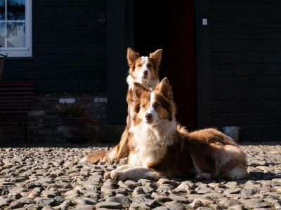 Apartment Landwohnung mit Aussicht - Outdoor photo 34