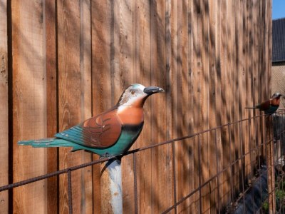Apartment Landwohnung mit Aussicht - Outdoor photo 35