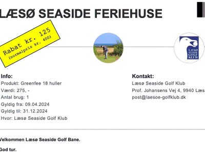 Holiday park 4 Sterne Ferienhaus in Læsø - Outdoor photo 30