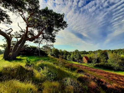 Holiday house Gemutliches Refugium in Rageleje -- By Traum Ferienwohnungen - Outdoor photo 14