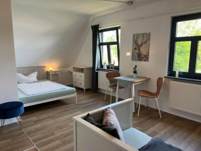 Apartment Studio in Dargun mit Pool am Kummerower See - Features photo 17