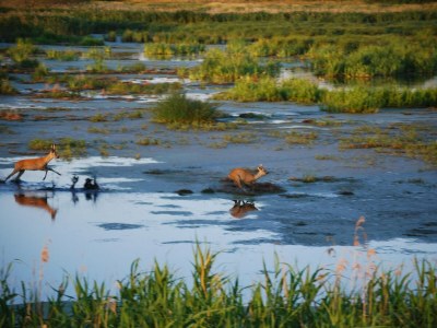 Apartment Studio in Dargun mit Pool am Kummerower See - Environment photo 32