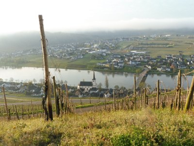 Holiday house Berkele for 8 to 12 people. - Environment photo 30