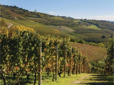 Holiday house Apartment in Baveno with Lake Maggiore Views - Environment photo 26