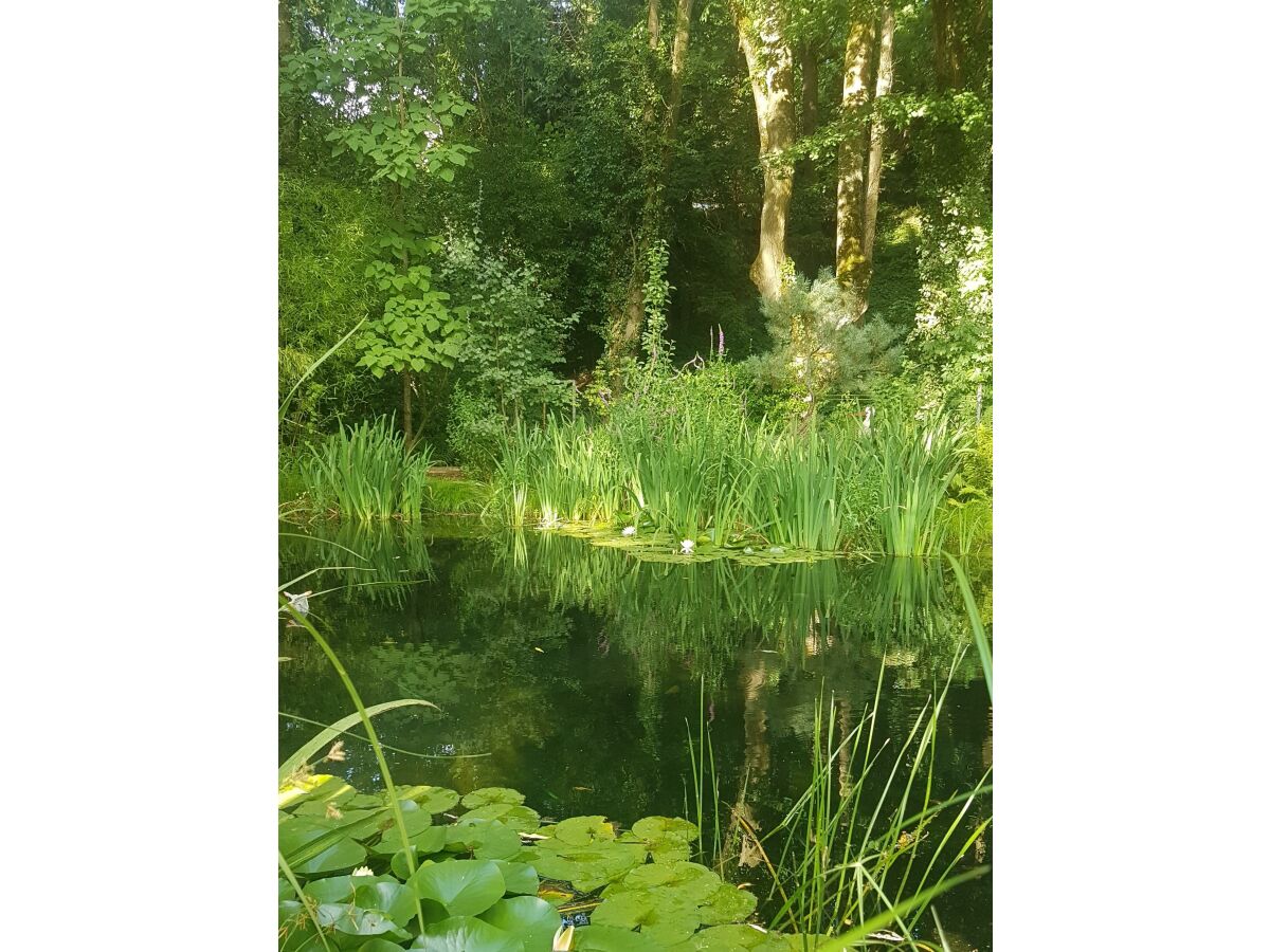 Apartment 4-Bett-Ferienhaus Dusche/WC, 2 Schlafräume - Outdoor photo 2