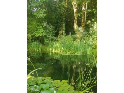 Apartment 4-Bett-Ferienhaus Dusche/WC, 2 Schlafräume - Outdoor photo 2