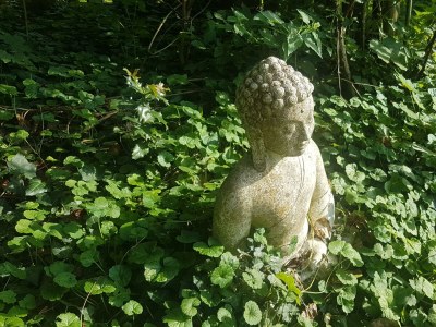 Apartment 4-Bett-Ferienhaus Dusche/WC, 2 Schlafräume - Outdoor photo 7