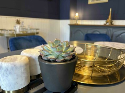 Apartment 4-Bett-Deluxe Appartement - Features photo 72