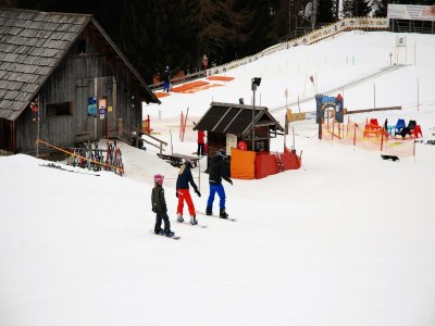 Chalet Premium Chalet in Innerkrems mit Sauna - Environment photo 33