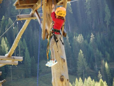 Chalet Premium Chalet in Innerkrems mit Sauna - Environment photo 36