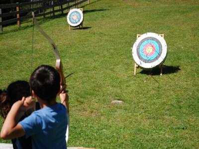 Chalet Premium Chalet in Innerkrems mit Sauna - Environment photo 37