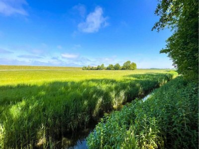 Holiday house Villa in Friesland near Slotermeer Lake - Environment photo 21