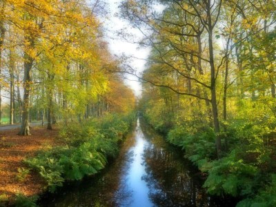 Holiday house Villa in Friesland near Slotermeer Lake - Environment photo 24