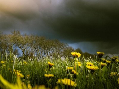 Holiday house Villa in Friesland near Slotermeer Lake - Environment photo 30