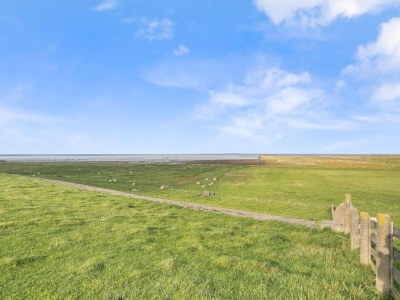 Holiday house Villa in Friesland near Slotermeer Lake - Environment photo 36