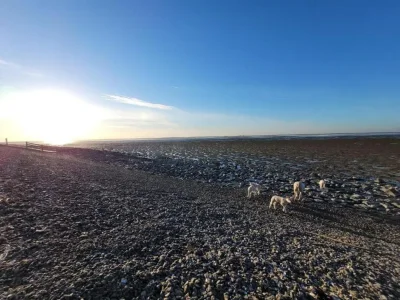 Holiday house Gemütlicher Kurzurlaub am Waldrand - Environment photo 33