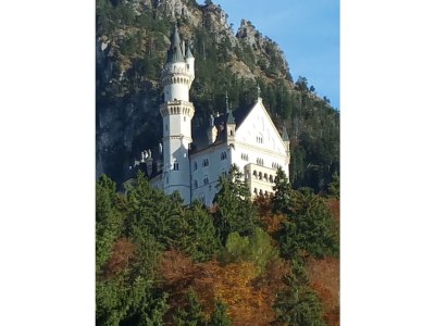 Holiday apartment Holiday home Allgäu - Apartment "Paul" - Environment photo 17