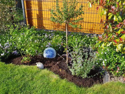 Holiday house Jonas - Outdoor photo 6