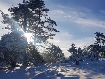 Holiday house Jonas - Outdoor photo 12