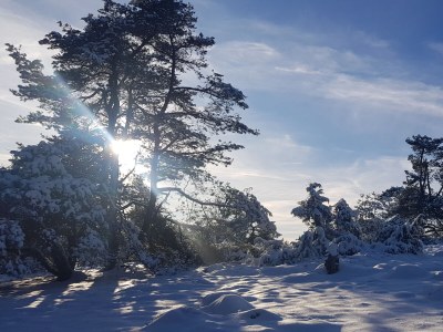 Holiday house Jonas - Environment photo 30