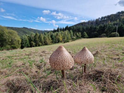 Holiday house Jonas - Environment photo 34