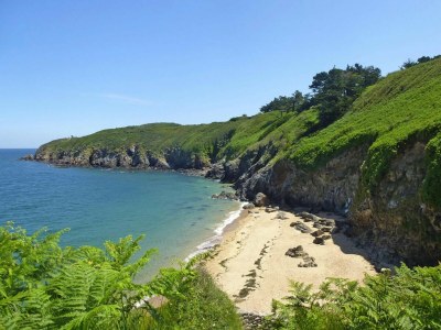 Apartment Apartment in Saint Cast near 7 Beaches - Environment photo 12