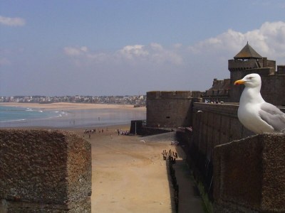 Apartment Apartment in Saint Cast near 7 Beaches - Environment photo 18