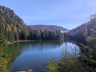 Chalet AlpenglÃ¶ckchen - Environment photo 40