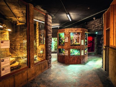 Holiday park Appartements im Freizeitpark Weissenhäuser Strand - Outdoor photo 20