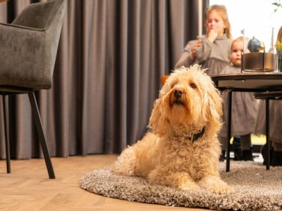 Holiday park Loosdrecht Water Villa - Outdoor photo 39