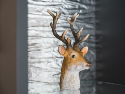 Apartment Top 11 "Venserbach" - Outdoor photo 47