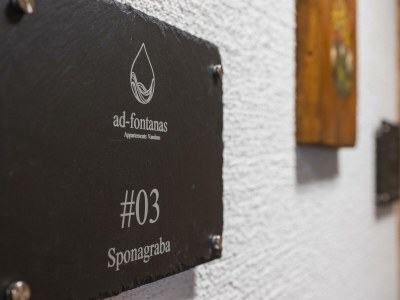 Apartment Top 11 "Venserbach" - Outdoor photo 74