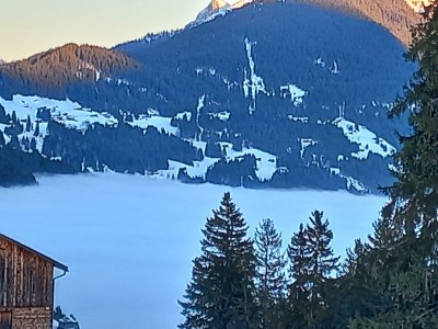 Apartment Appartement Lobspitz - Outdoor photo 42