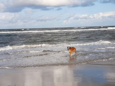 Holiday house Luxus-Ruckzug in Romo -- By Traum Ferienwohnungen - Outdoor photo 37