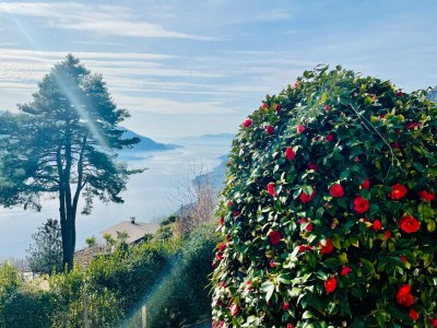 Villa Romantisches Haus am Lago Maggiore mit Garten - Environment photo 27