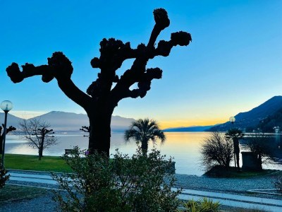 Villa Romantisches Haus am Lago Maggiore mit Garten - Environment photo 31