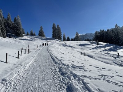 Holiday house Landhaus Seiband - Environment photo 30